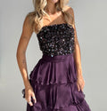 Dark Plum Sequin Party Dress (XS )