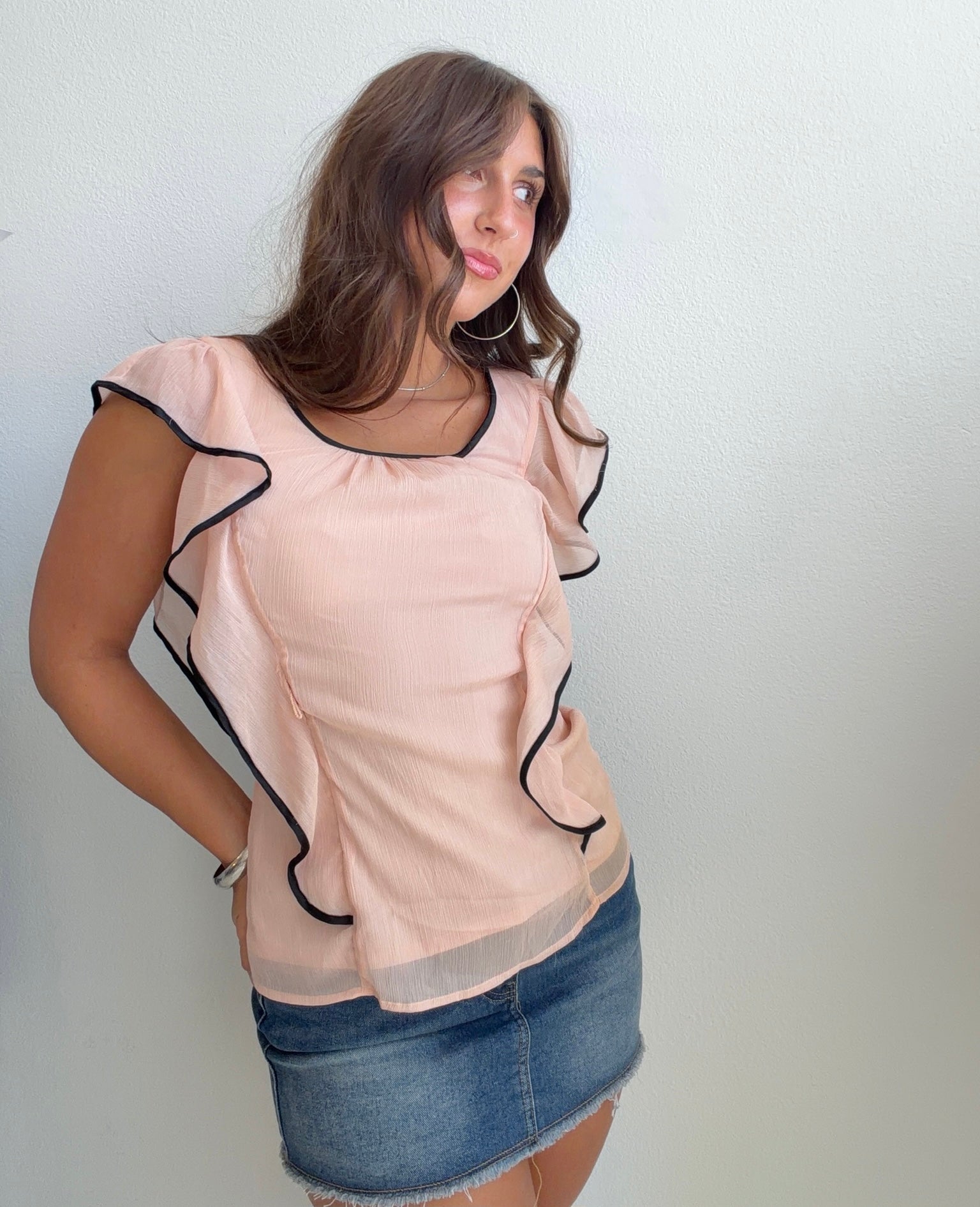 Blush Ruffle Sheer Flutter Sleeve Top (Small)