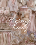 Sleeping Beauty Bundle Box🪞